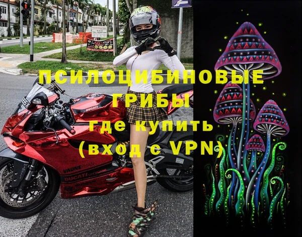 метадон Горнозаводск
